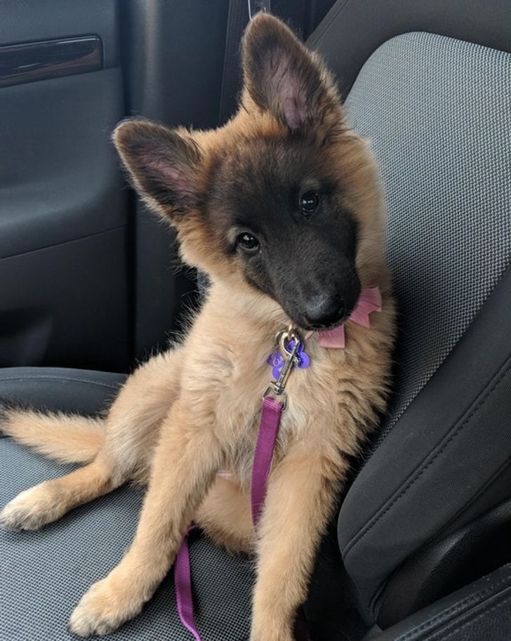 4264c95cc78f5be97b223ba025