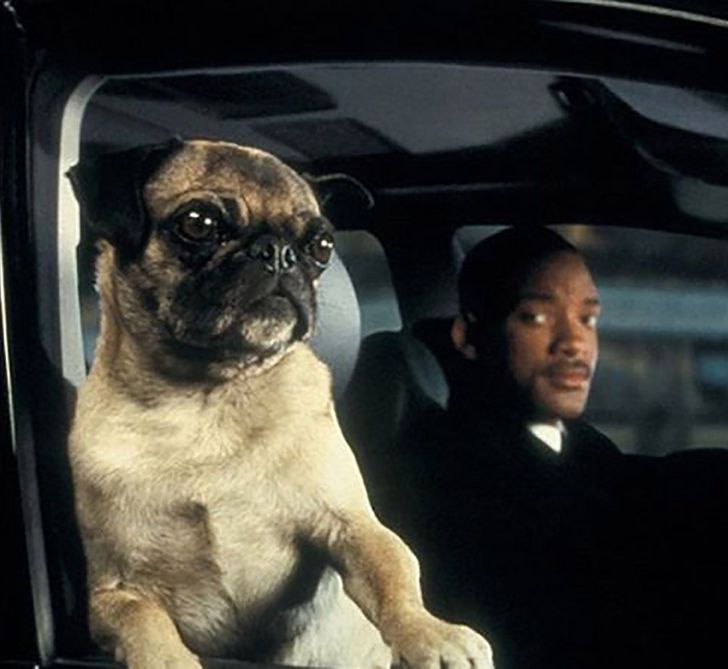 4265315e6e828a9f85dd312af3