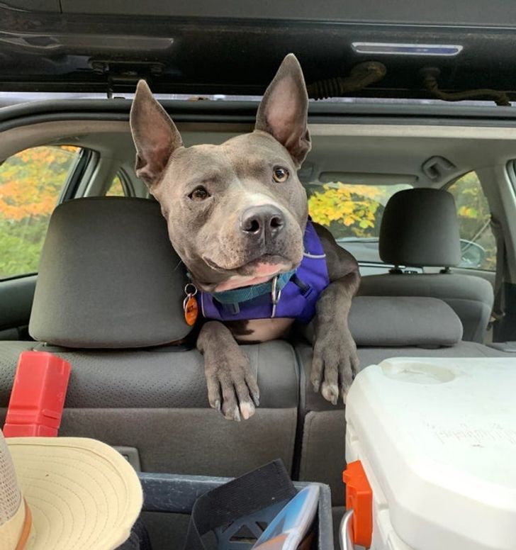 42699e508e9365fa1e72c53fcb