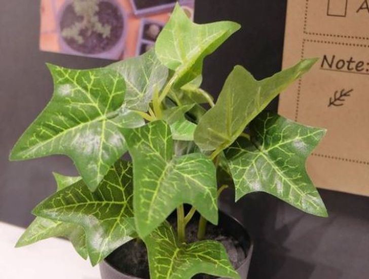 426a285844ac9f7b3a0548a749