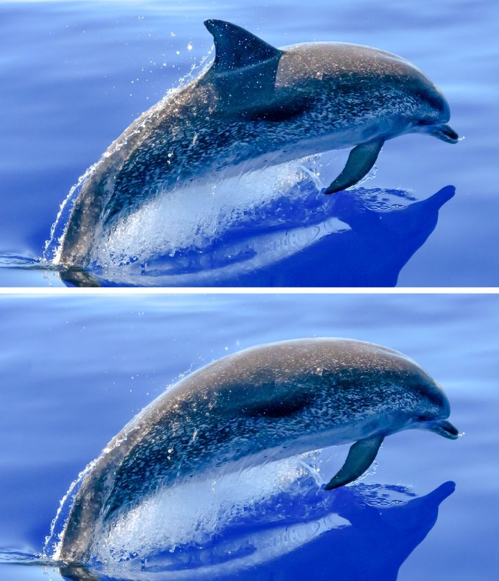 426be058d08ccc5c5d4a85da89