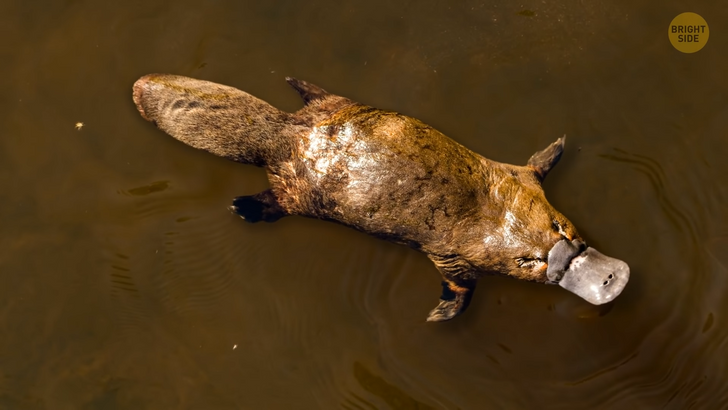 426d715207be6b55ce4a735aec