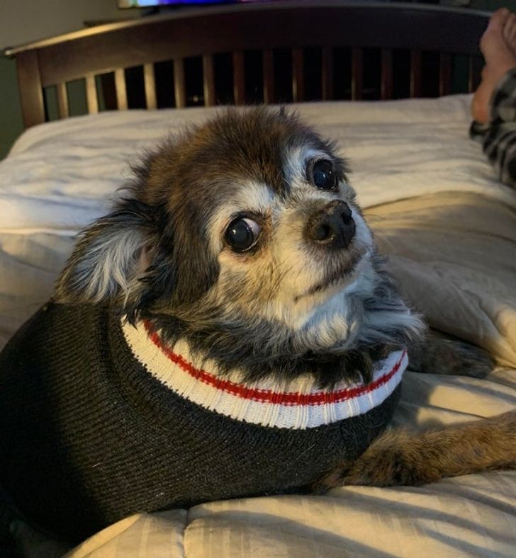 4270bb54c69db61a67b4adaafa