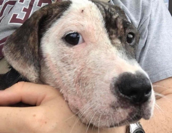 427d41515a84c28267c249d4d3