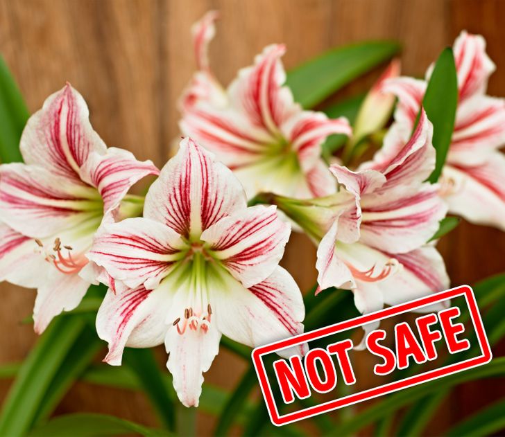 42819c51f5811dafb094cd6388