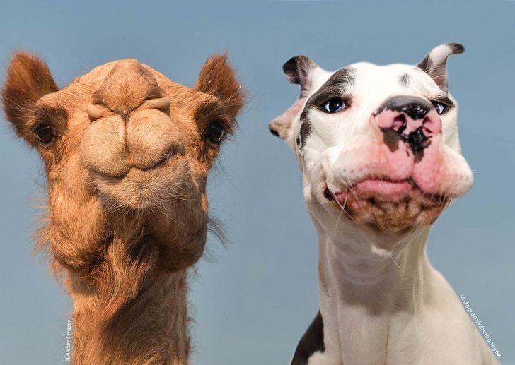 42853c5270ae6dae23ee413456