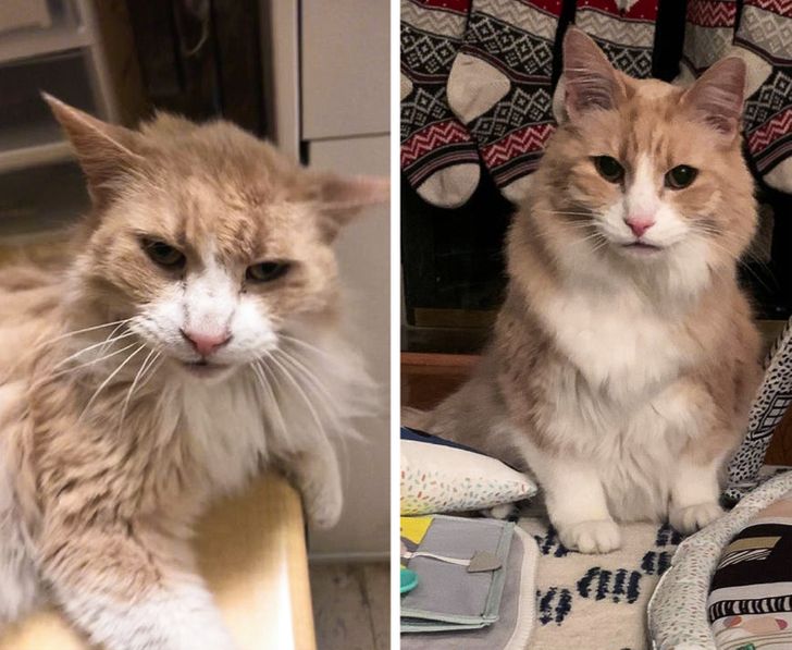 42867b5aa3a5f161f6835538e6