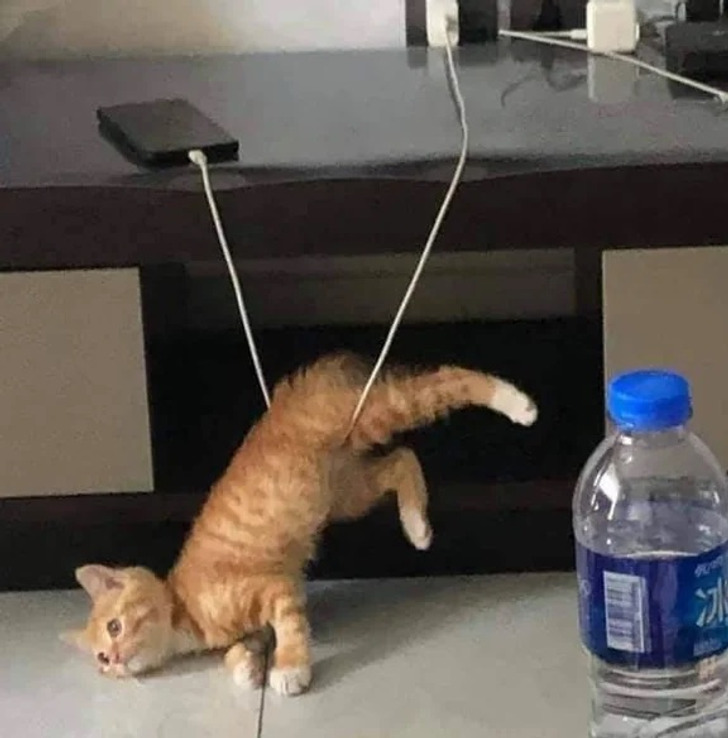 4288d051ec90657fa893c93c2d