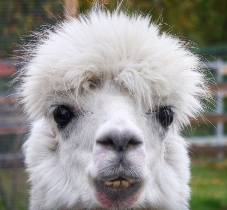 42899b5b25b0da3415afe94de9