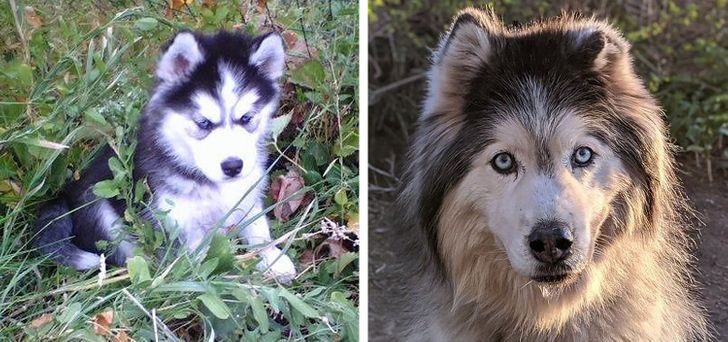 4290ba5a9db82e88f75a37f1ea