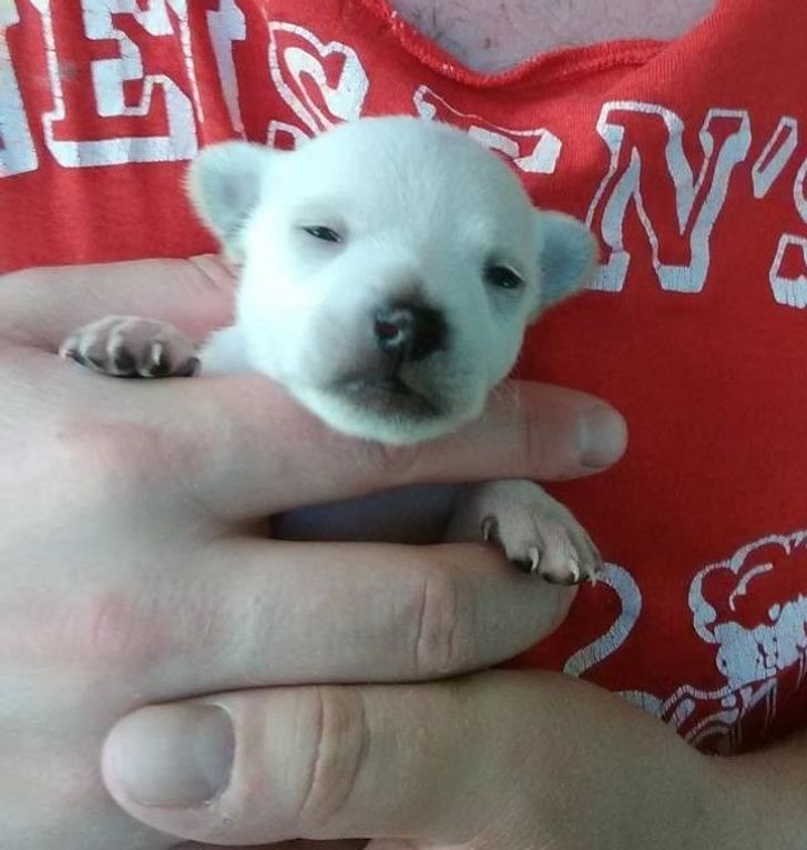 429d585573b997854b7682894a