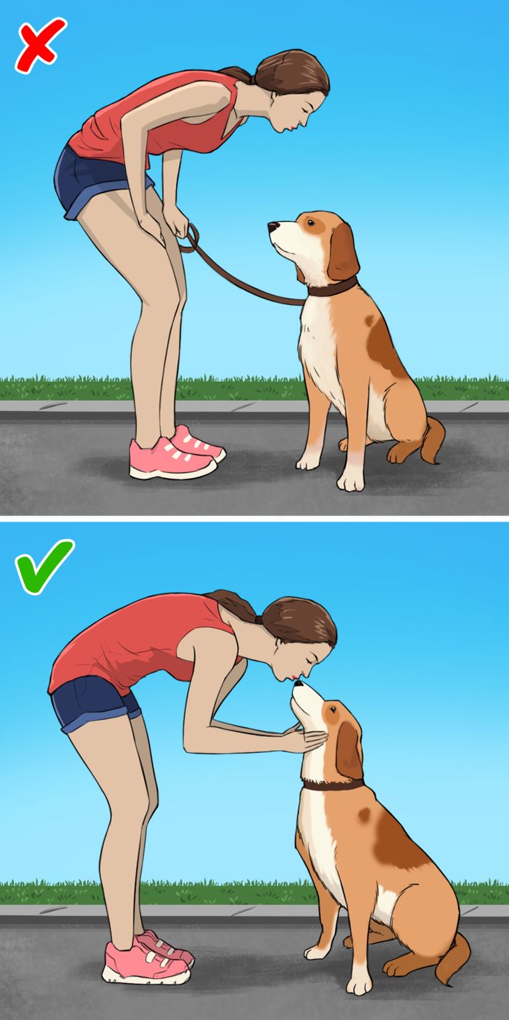 42a9f651d088900c500c6024ca