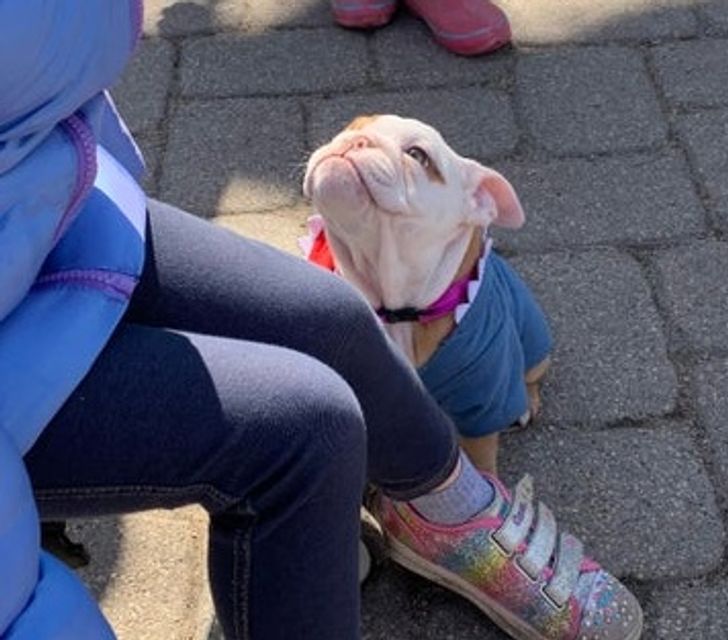 42b88b57048ae2f163208f48ae-1