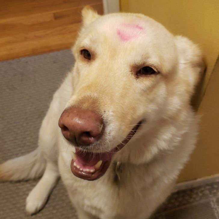 42bb335b7a94abfbc00bc2ba91