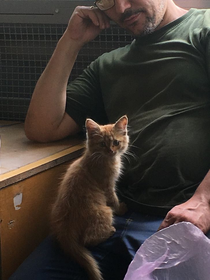 42c3f452f4b6c74569a2764d26