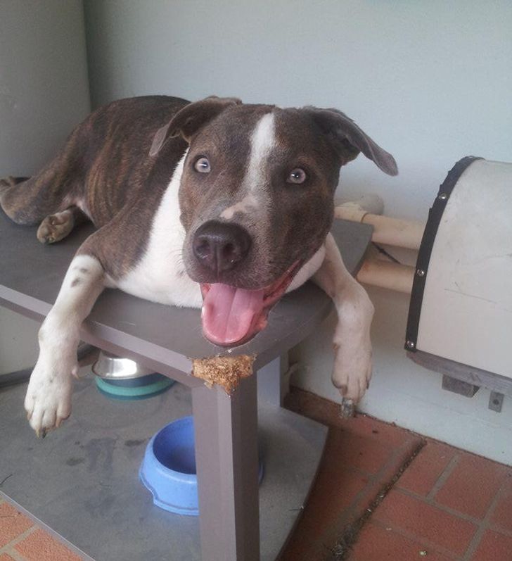 42c5b659aeb947be34afe45f57 42c5b659aeb947be34afe45f57