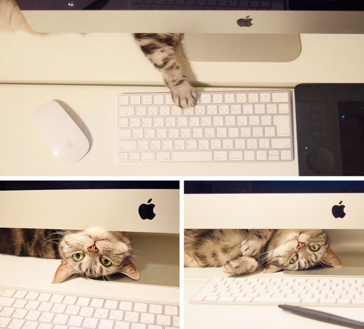 42c8f153edaa2982c10e87f803