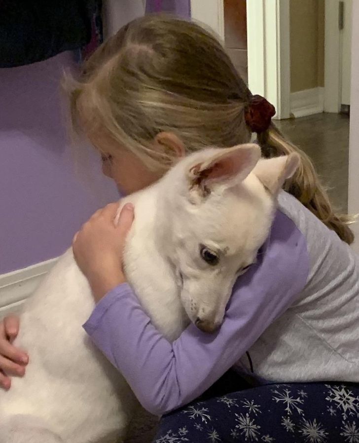 42cdd6503384abf38f14f75f06