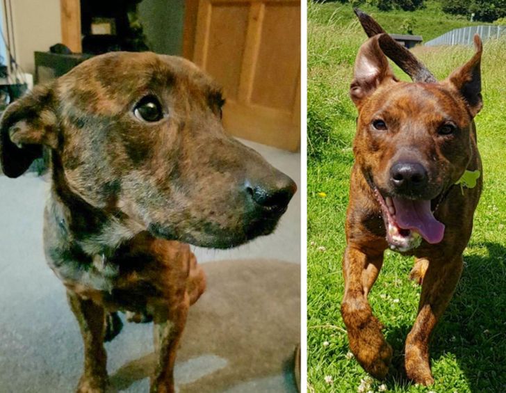 42cee655e9a7fbd9c33a1e905b