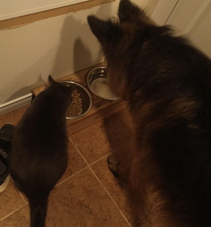 42d4c75ad99fca25320a51e327