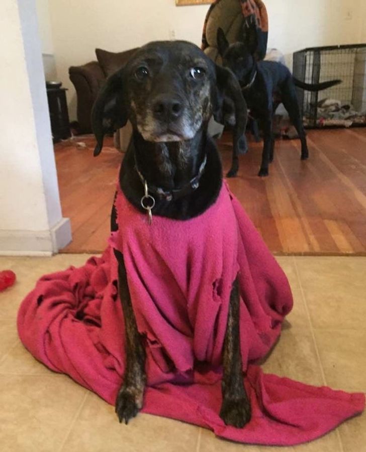 42daf85194ba5d704df9102214