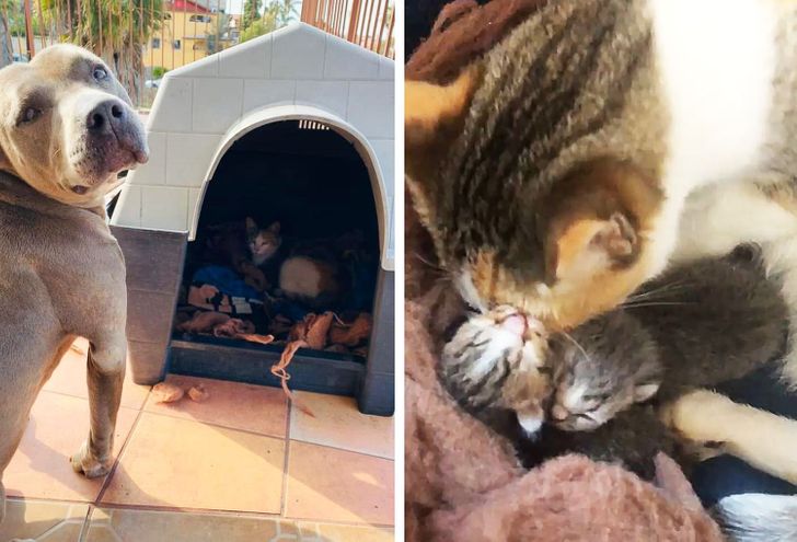 42e2d5569786556f5c5c211372