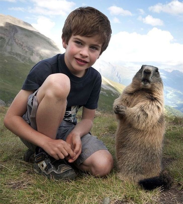 42e3a45e6696361f24d644bd93