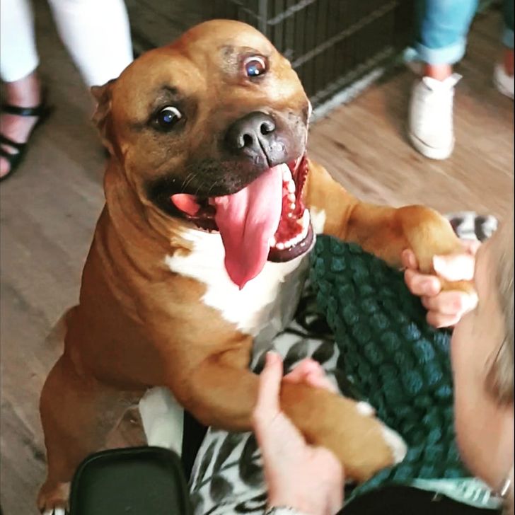 42e5375a0487e01e8d5c8803c2