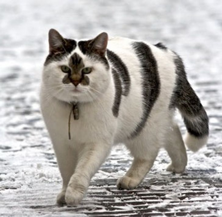 42eb9c56878bd574eefec84afc