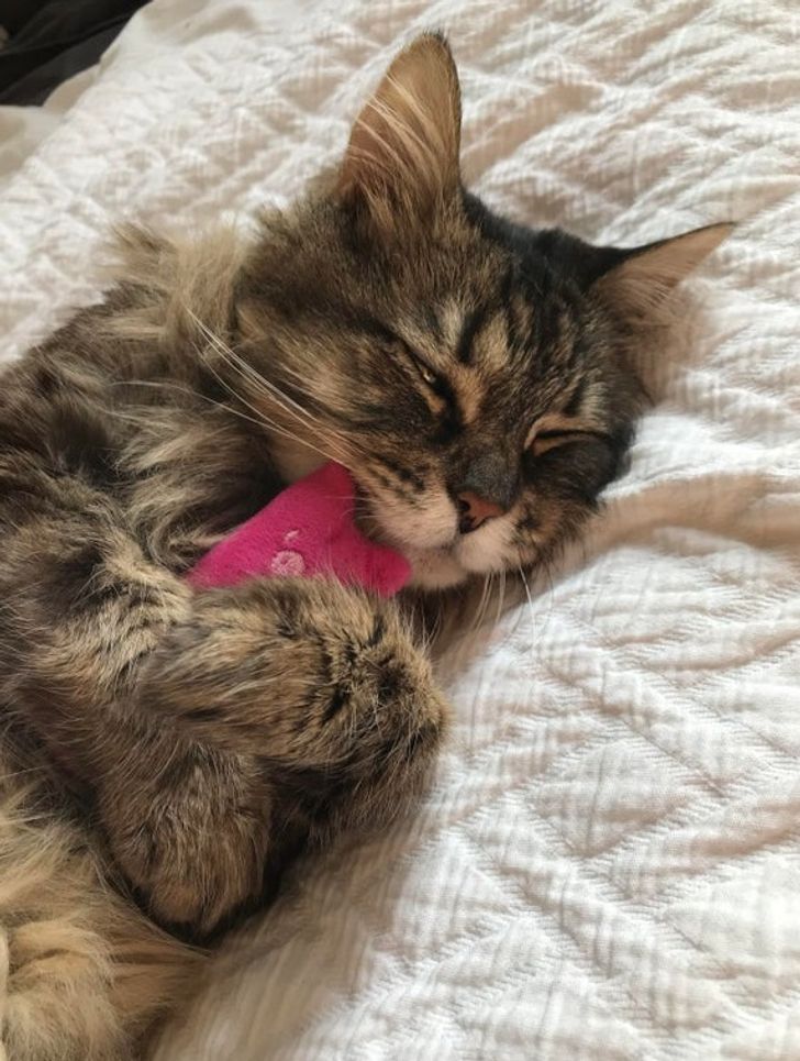 42ec0b59c6acc71e756a4a92a9