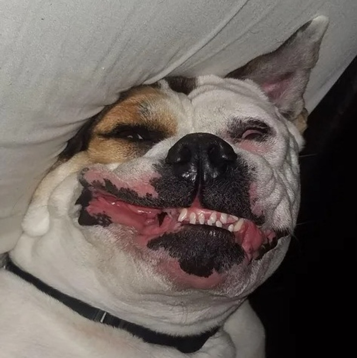 42edf75184895c3bd71da3ddc9