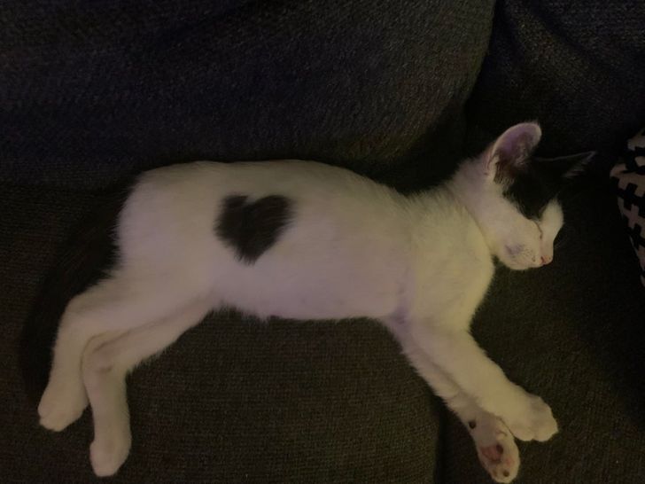 42f273501b98167c6d629ec0c9 42f273501b98167c6d629ec0c9