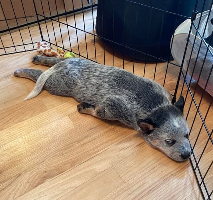 42f3d2502e967f1b8262814f74