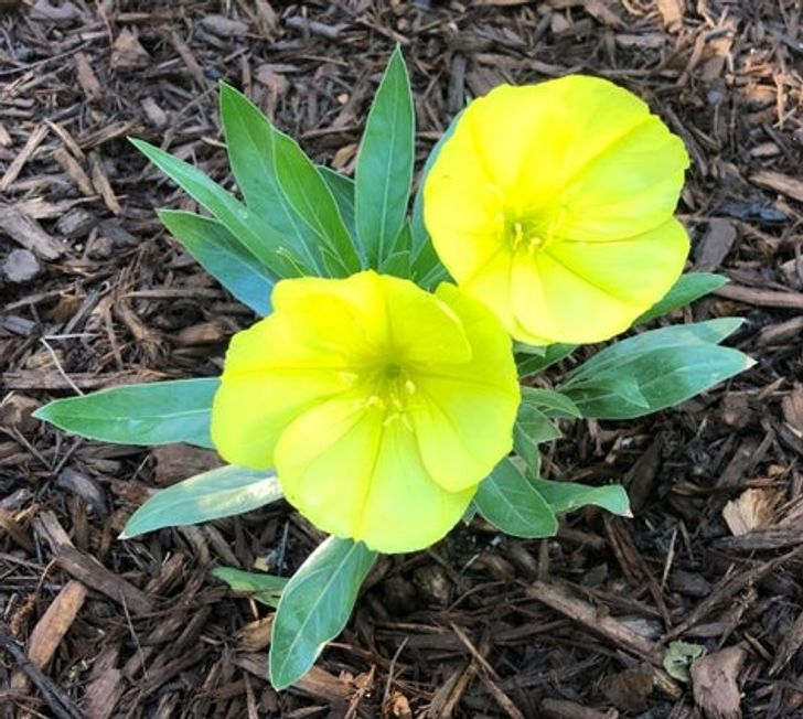 42ffbc53238732e7e47f7702b5 42ffbc53238732e7e47f7702b5