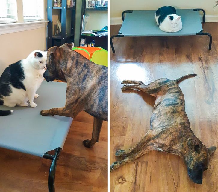 4303b75cd7b437f209ecfcd37d