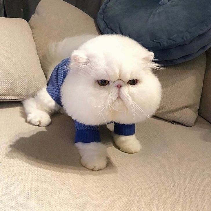 4310d85aacb20b3eef9fd8686e