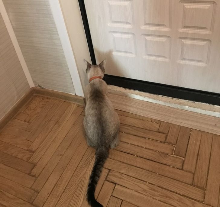 431996542bbce8a4ae52d8217a