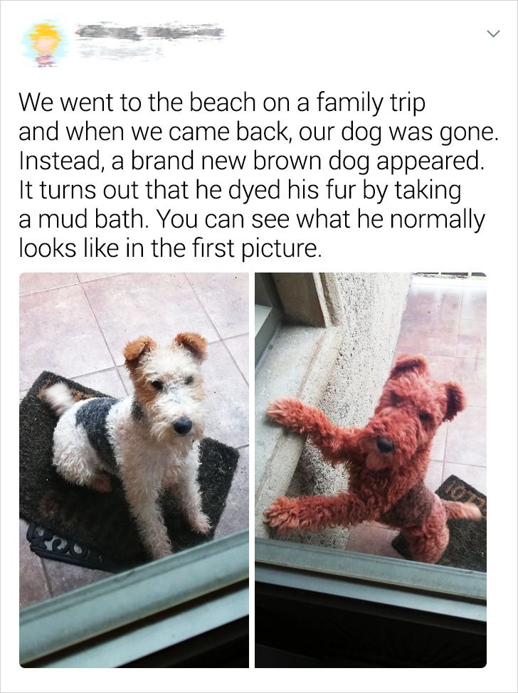 431a065e83b076e8882c86f241