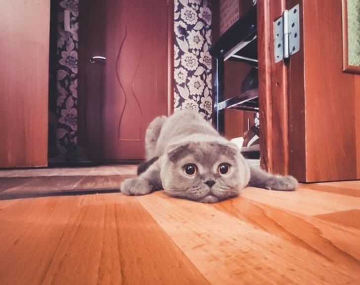 432e83530c8451e093f8ba37ee