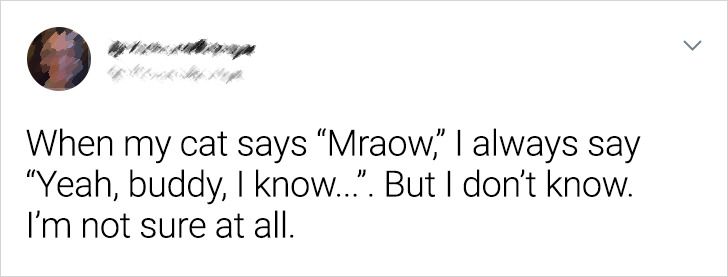 433600579ebafe7bb28086efd3