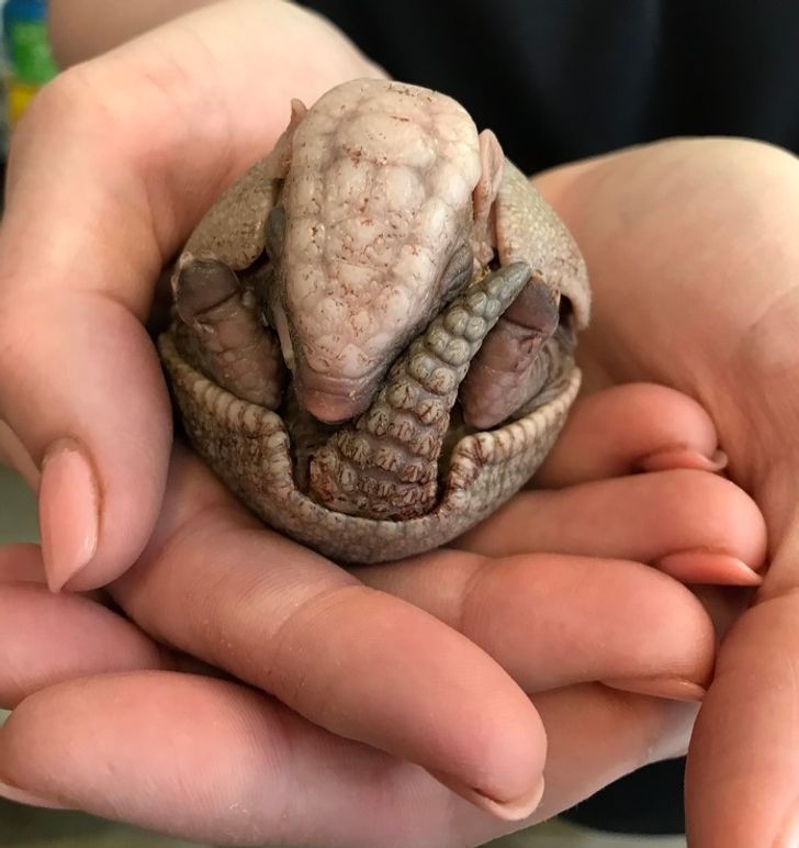 433d275703a650910319d38e7b