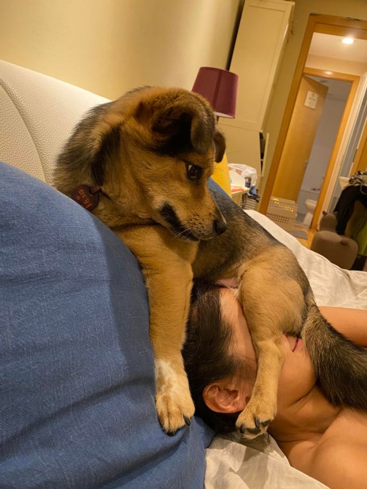 4358705f12a7d586c867476906 4358705f12a7d586c867476906