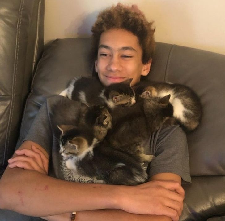 43628954dc813315285faf3c17