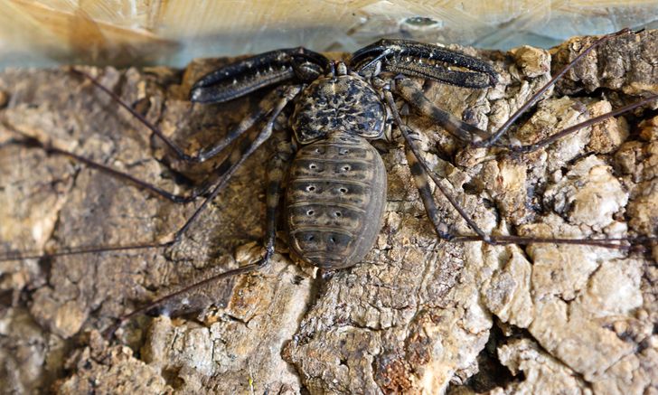 43642f592b82a62d580a8e0c8d