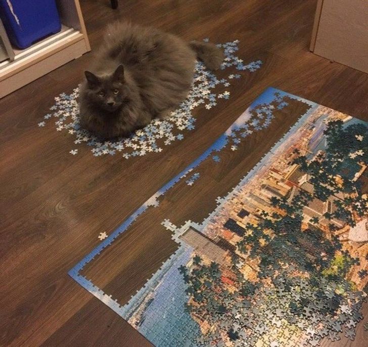 4368df584d9e64808b4bc6fac3