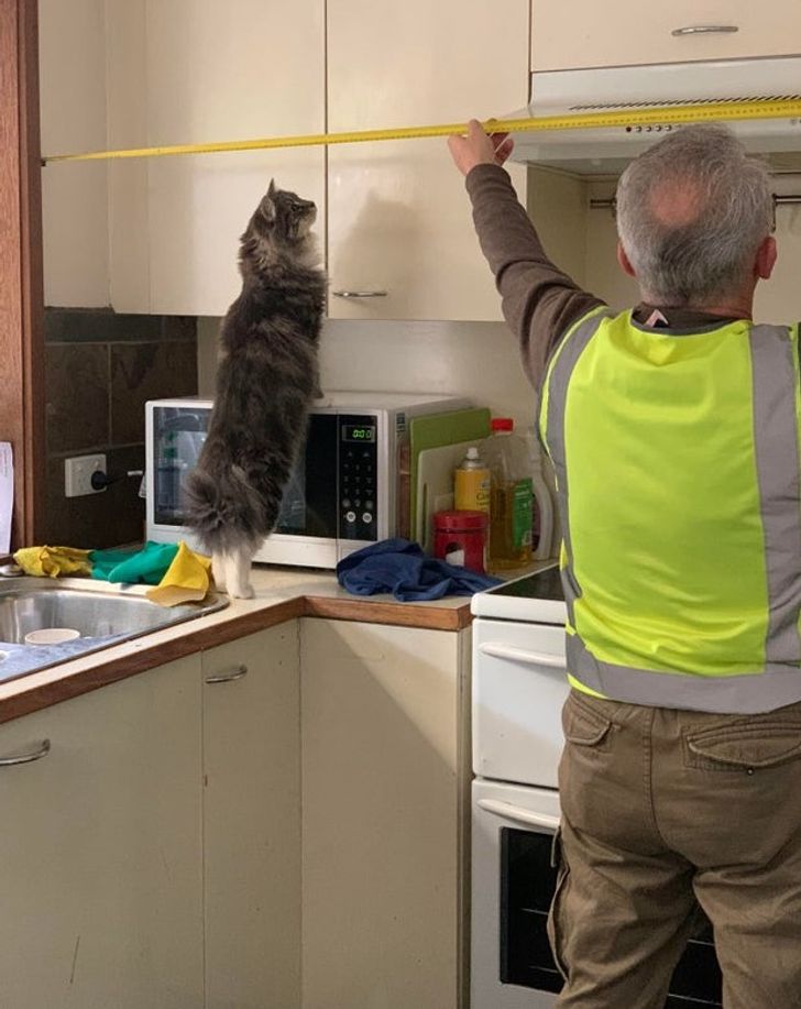 436ec25fd08633f9ef0450315f