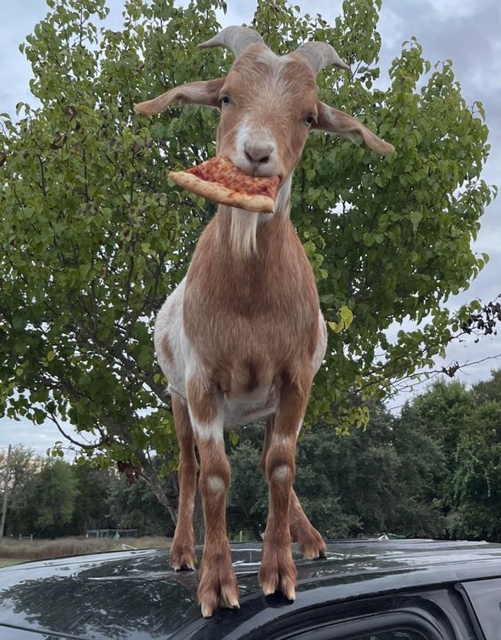 437525580e8cef9c9087291340