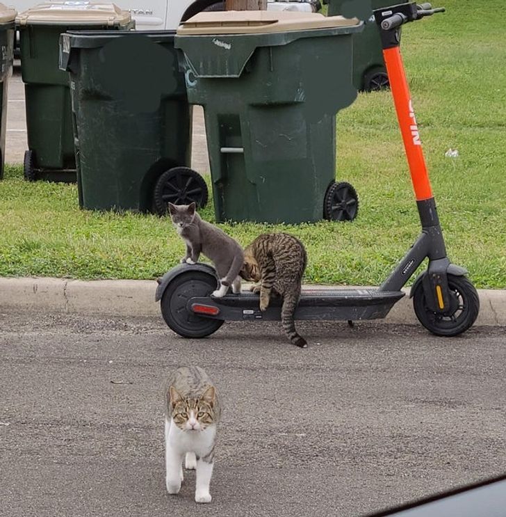 437f925f0a8210952967219370