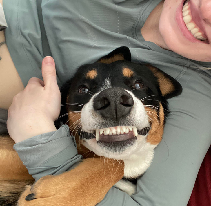 4381a356f7ad3669a6c641e70a