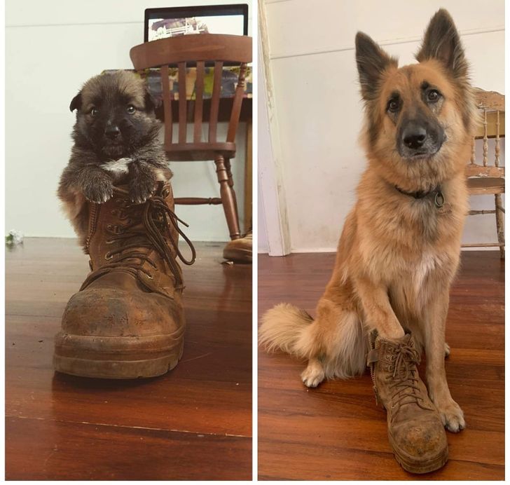 4382415643b657ff5720b887b2